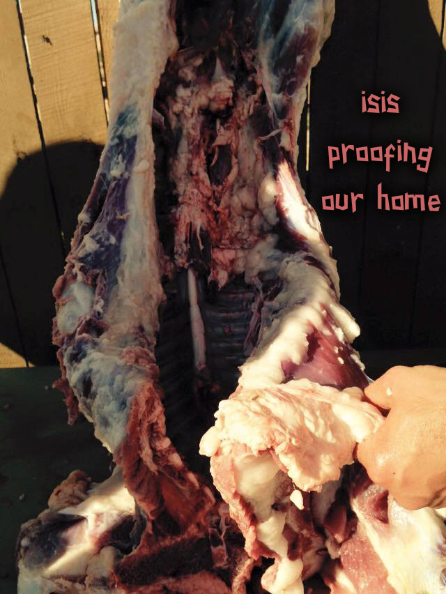 pizap.com14262022378291