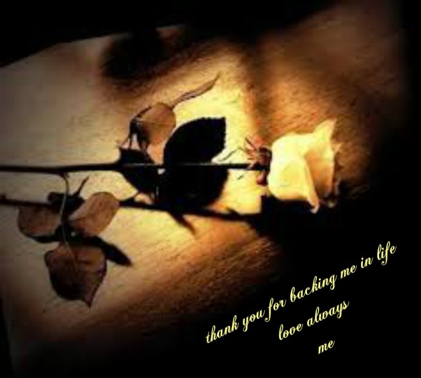 pizap.com14262842193011