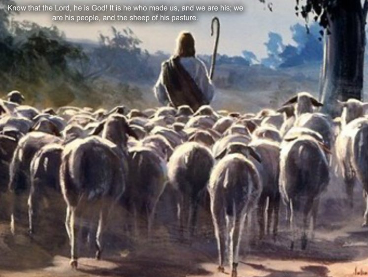 pizap.com14264668287721