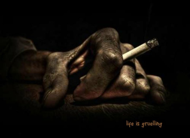 pizap.com14266125164431