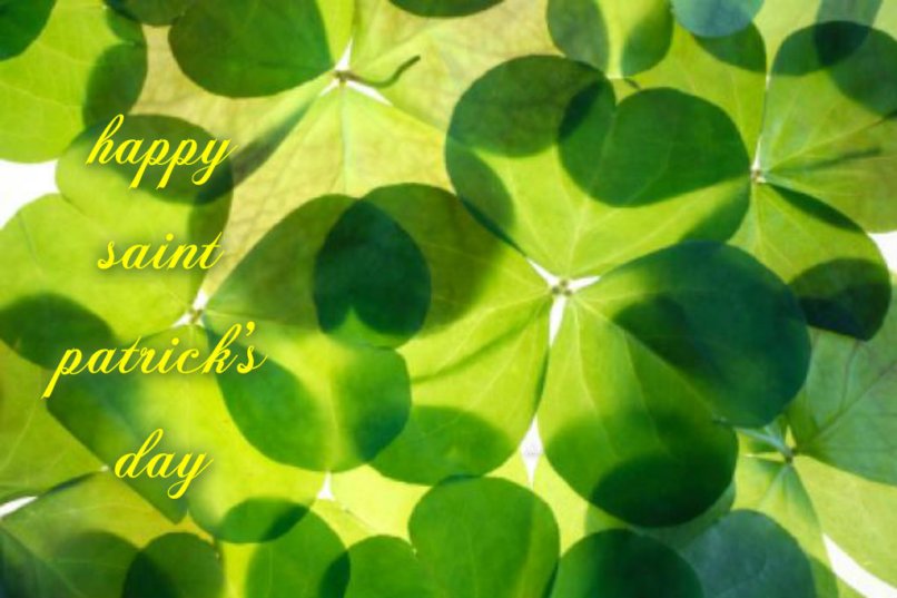 pizap.com14266165512621