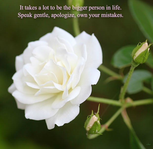 pizap.com14267005866781