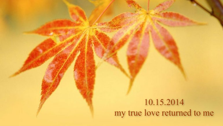 pizap.com14268239108221