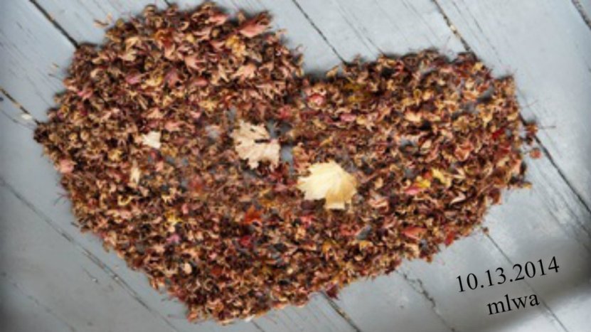 pizap.com14268285299611