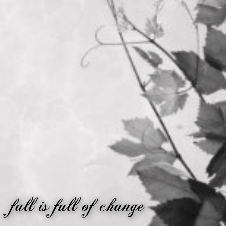 pizap.com14268656676081