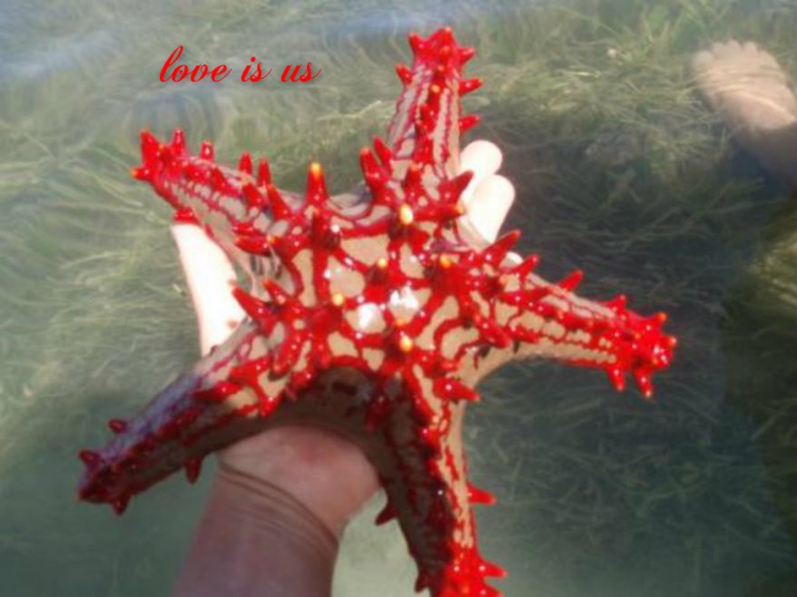 pizap.com14270439310191