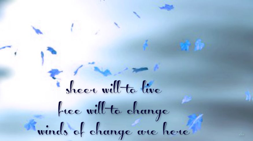 pizap.com14274297567171