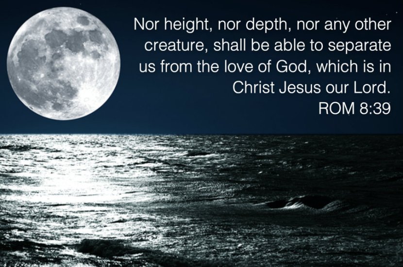 pizap.com14276419873141