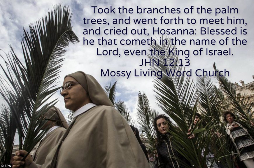 pizap.com14276427599541