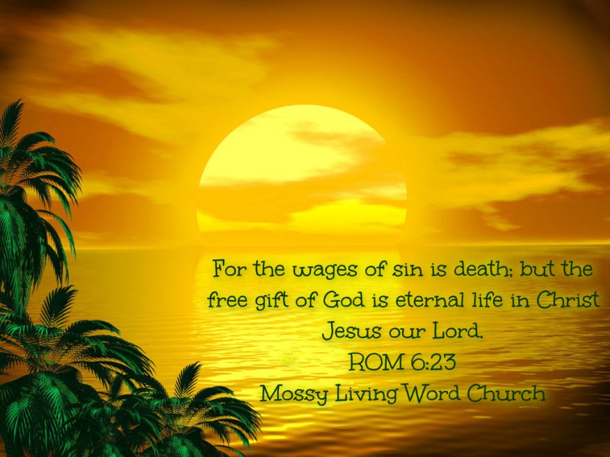 pizap.com14277355560201