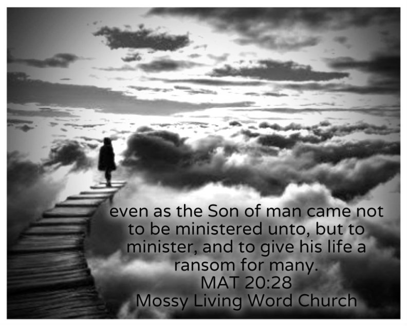 pizap.com14280422999471