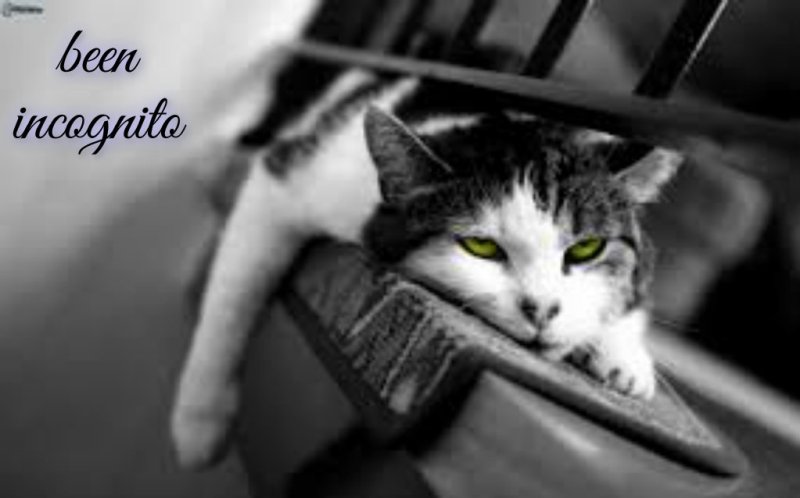 pizap.com14281630203221