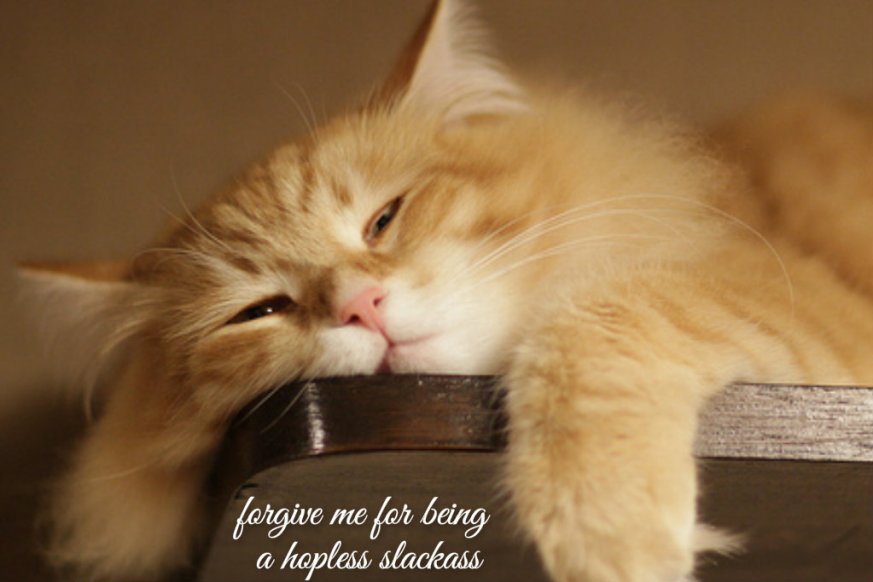 pizap.com14281635472521