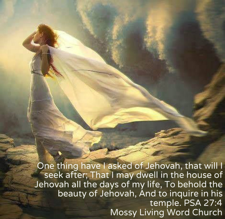 pizap.com14283814174601