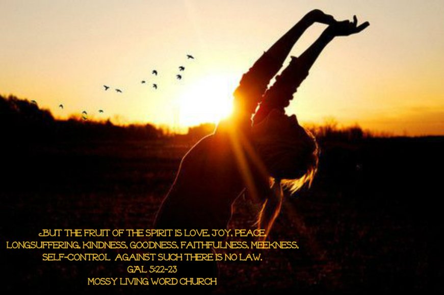 pizap.com14289827064541