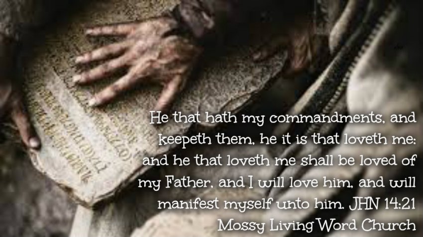 pizap.com14292846346701