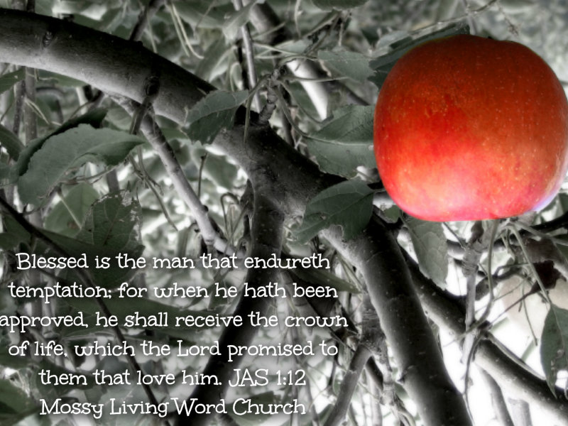 pizap.com14292856277291