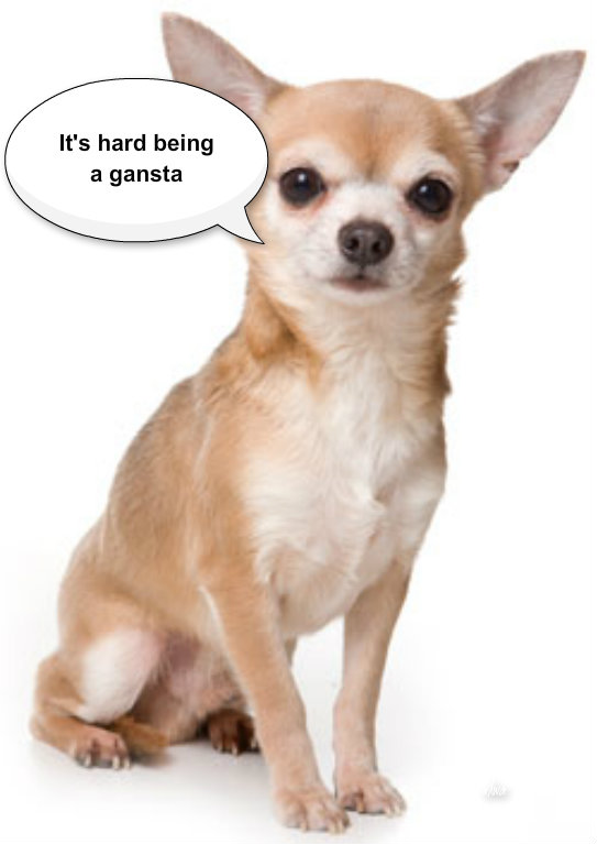 pizap.com14292865876461