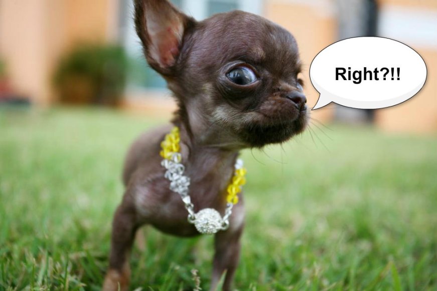 pizap.com14292874002711