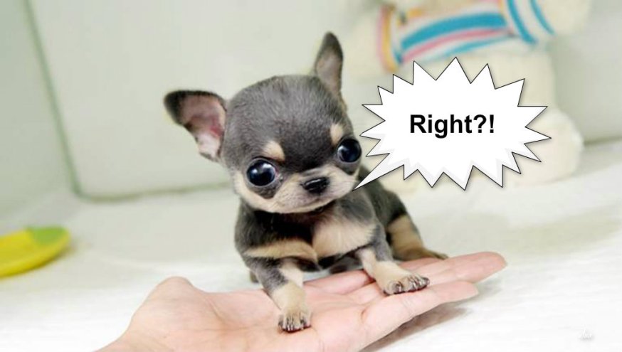 pizap.com14292877293591