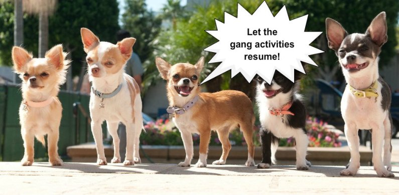 pizap.com14292883655561