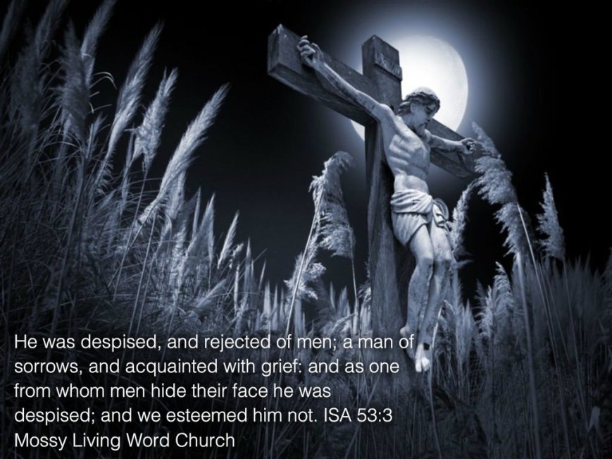 pizap.com14295002846581