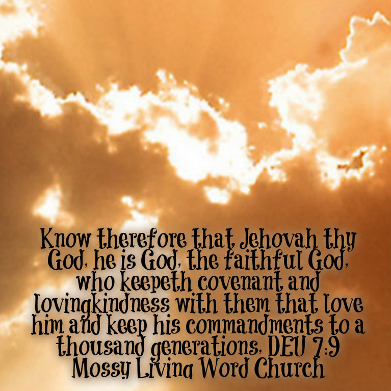 pizap.com14295005801501