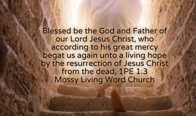 pizap.com14295437310781