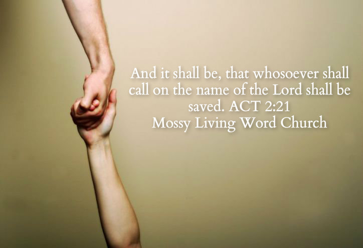 pizap.com14298503998251