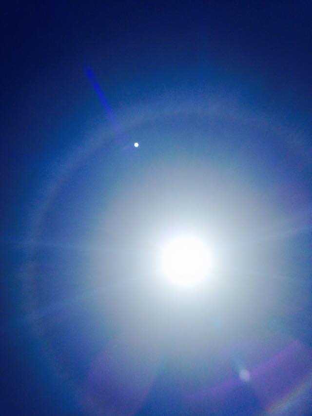 11027986_10204293230150769_5980390844468305694_n