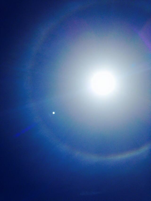 11046258_10204293231430801_2743828551382966200_n (1)