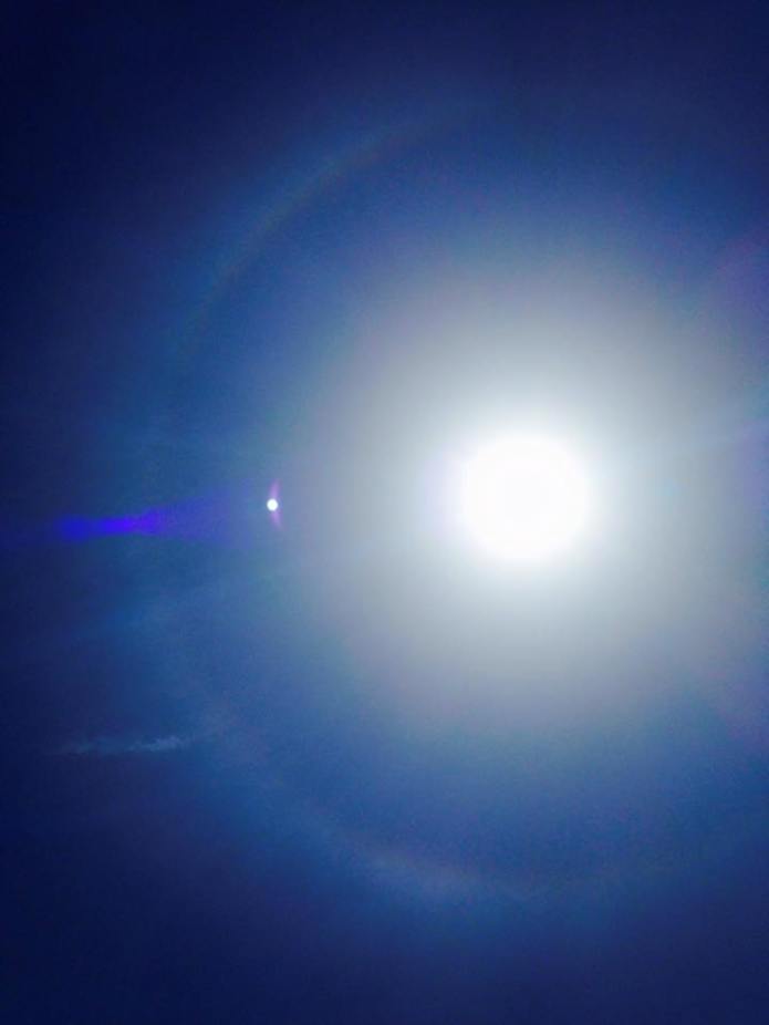 11117244_10204293237110943_6182976802838642948_n