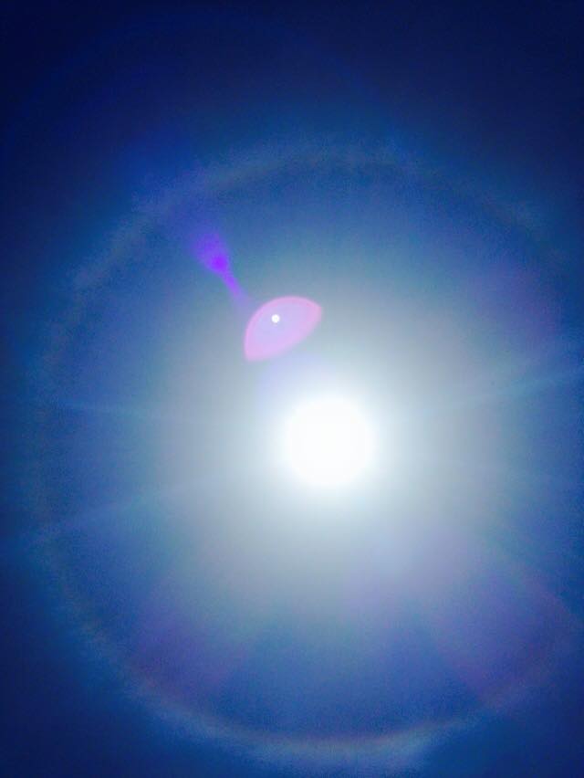 11127900_10204293232910838_5721199919099394009_n