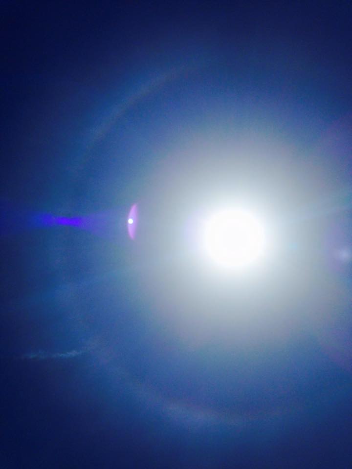 11140401_10204293236710933_7903187403842183460_n