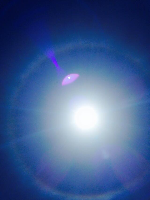 11201195_10204293232510828_47149169306892908_n