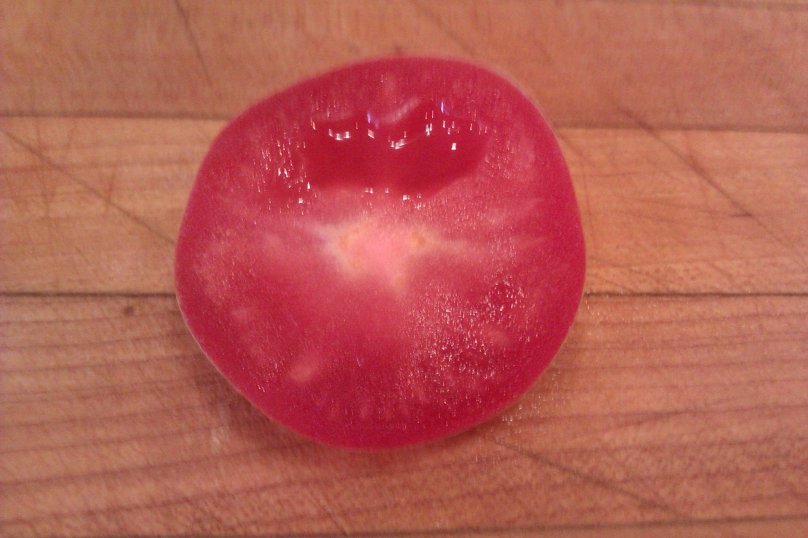 11204664_10205879107233195_1900255844_o