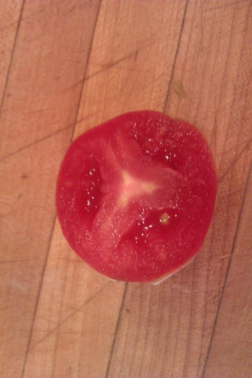 11211566_10205879101673056_1214782248_o