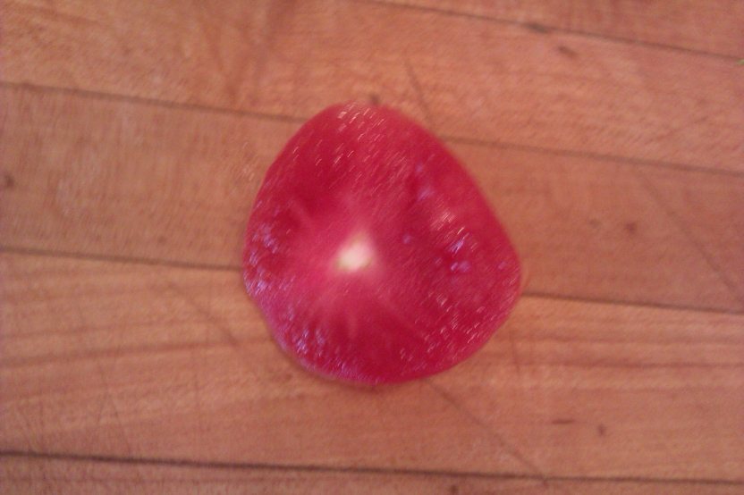 11212027_10205879100193019_11251457_o