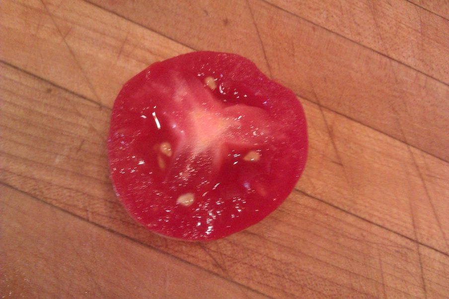 11227106_10205879104593129_1259969685_o