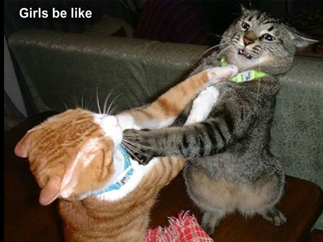 1123865559pizapw1405190061