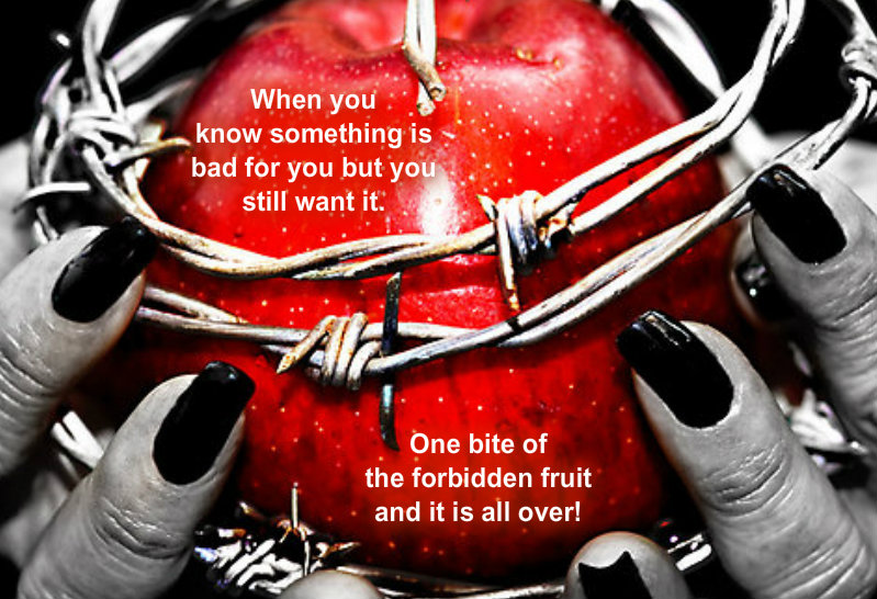 1123865559pizapw1405491137