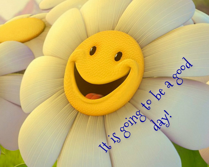 1123865559pizapw1408043587