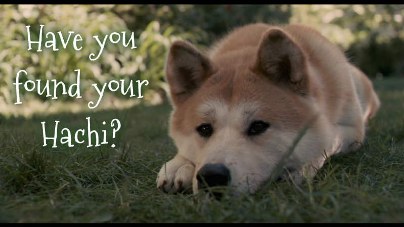 1123865559pizapw1408224904