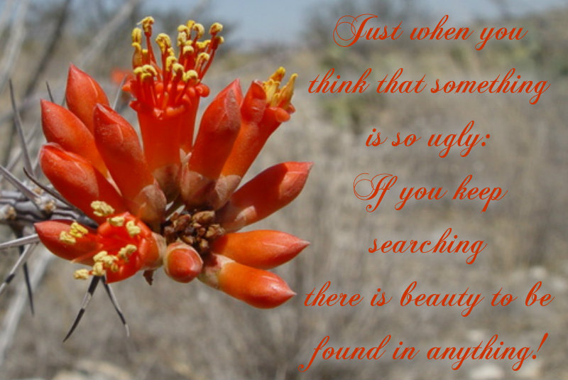 1123865559pizapw1408233510