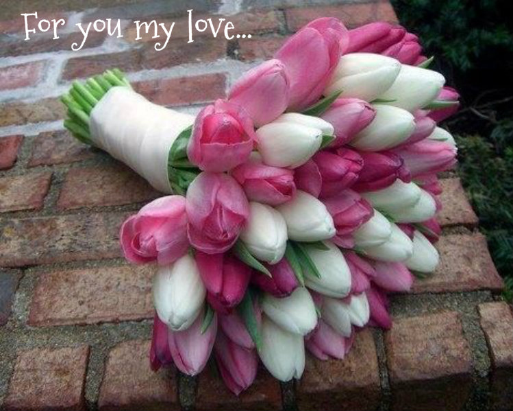 1123865559pizapw1408674610