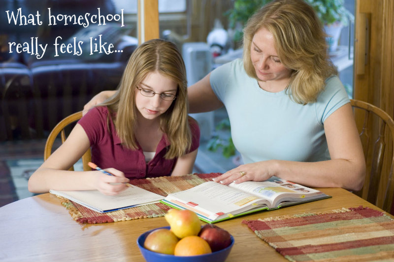 1123865559pizapw1409018101