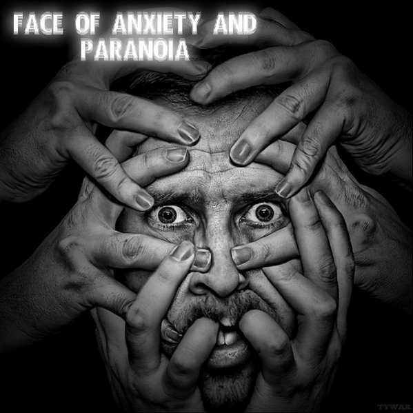 1123865559pizapw1409071776