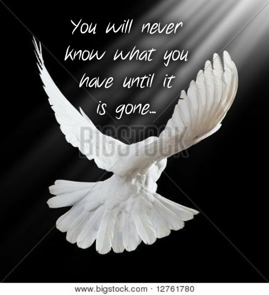 1123865559pizapw1409082825