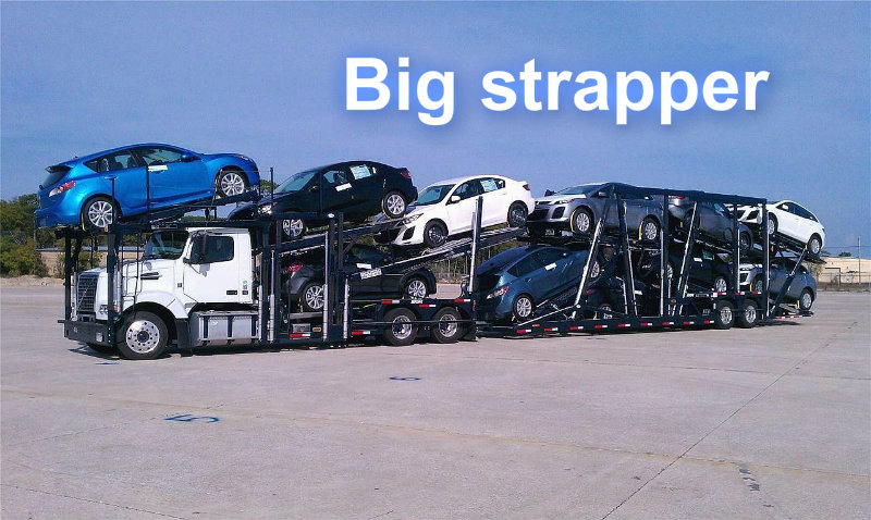 1123865559pizapw1409084550