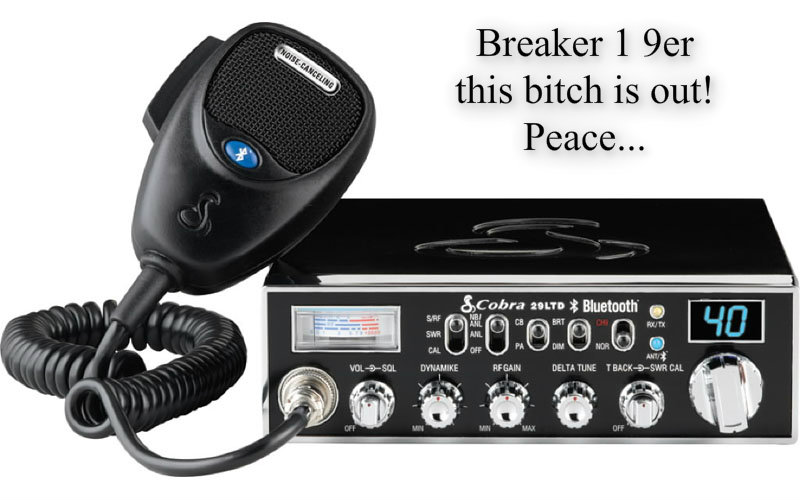 1123865559pizapw1409117281